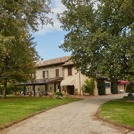 Agriturismo Virano19 Castrocaro Terme Bagian luar foto